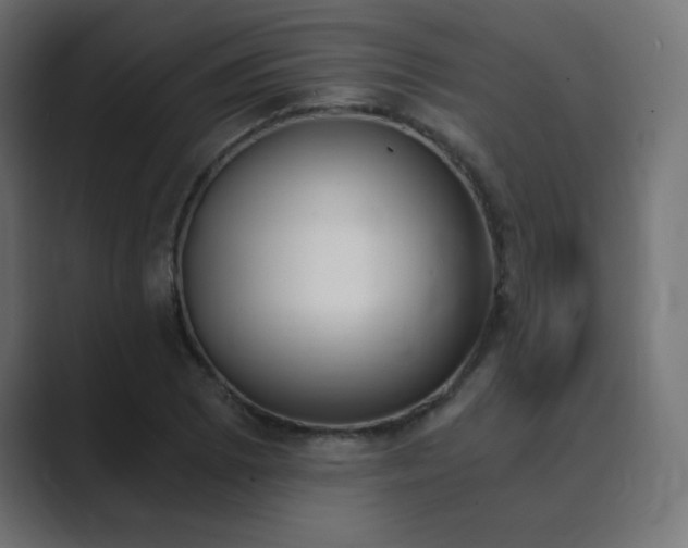 X0000089851073200706281247