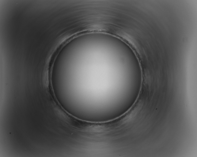 X0000089851075200706281247