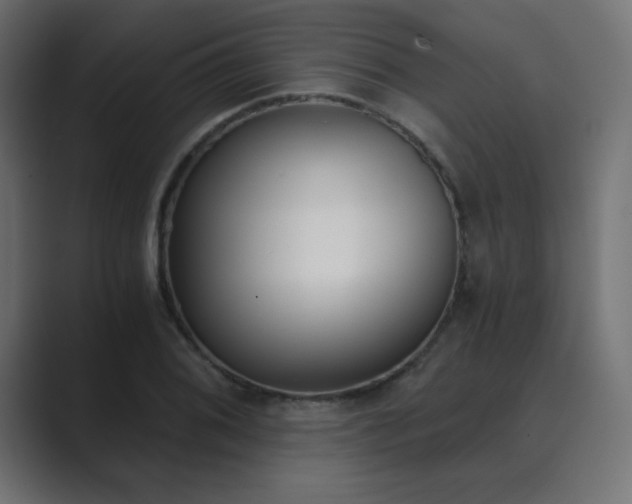 X0000089851076200706281247
