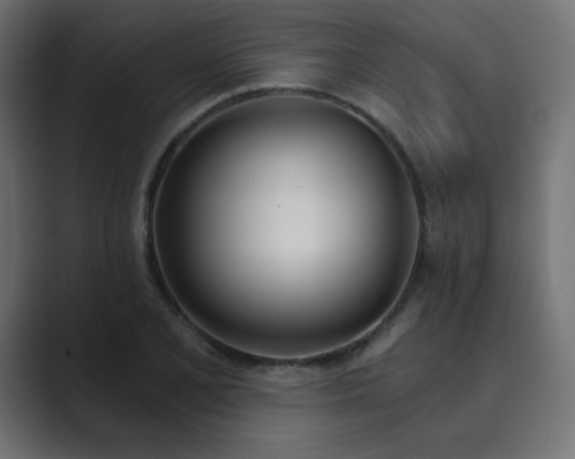 X0000089851077200706281247