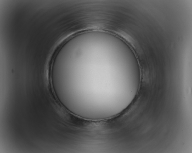 X0000089851078200706281247