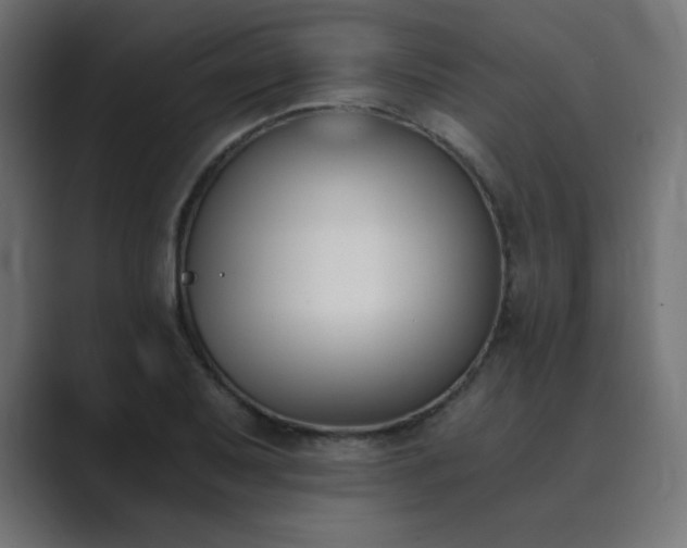 X0000089851079200706281247