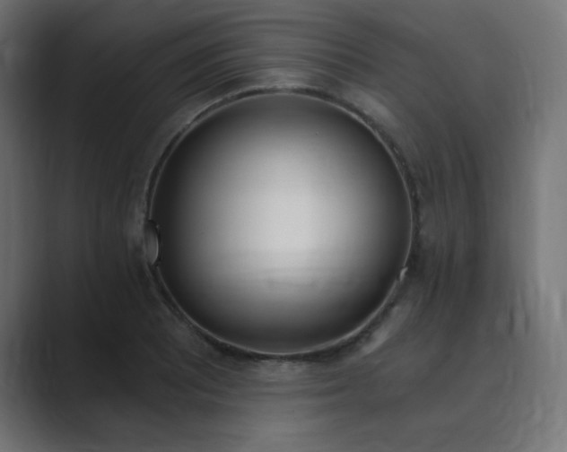 X0000089851081200706281247