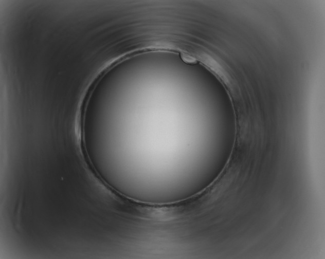 X0000089851084200706281247