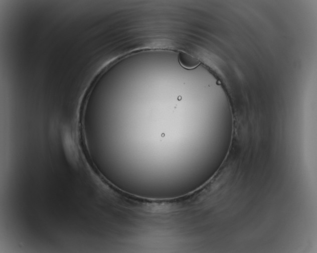 X0000089851087200706281247