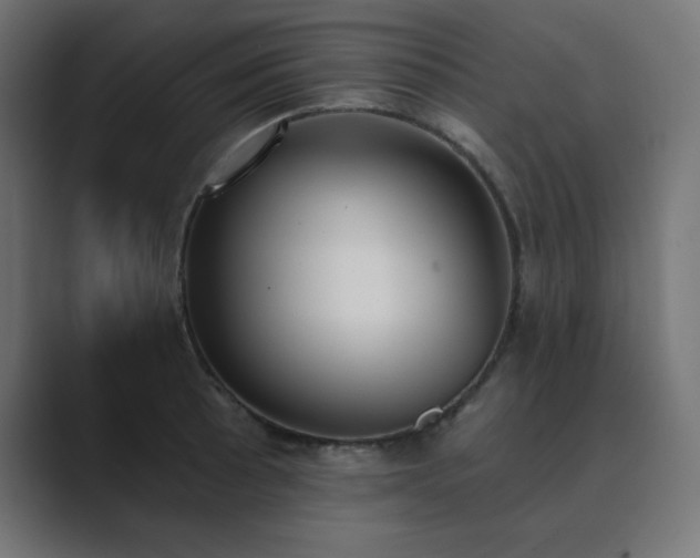 X0000089851089200706281247