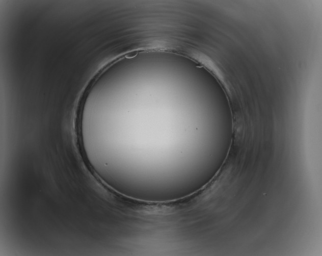X0000089851091200706281247