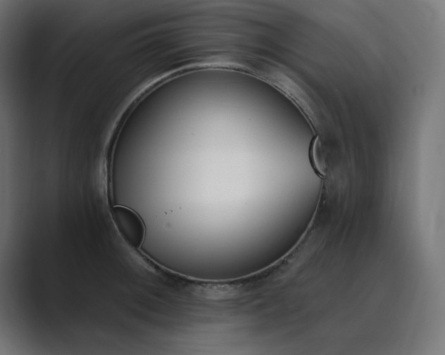 X0000089851092200706281247