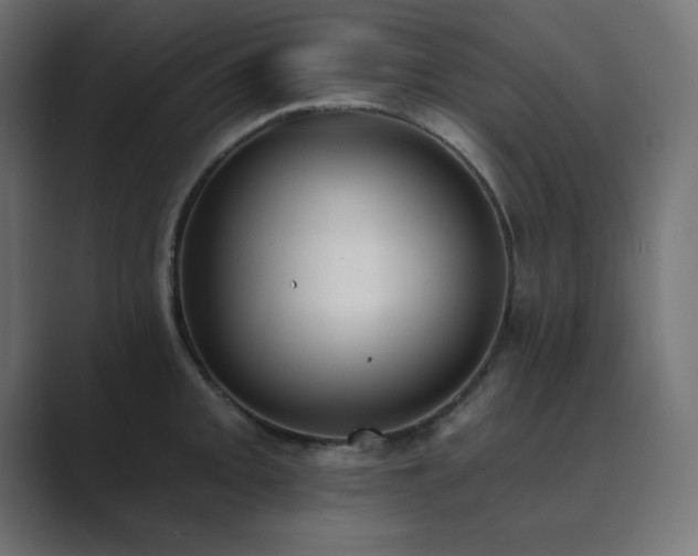 X0000089851093200706281247