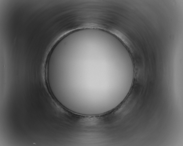 X0000089851094200706281247