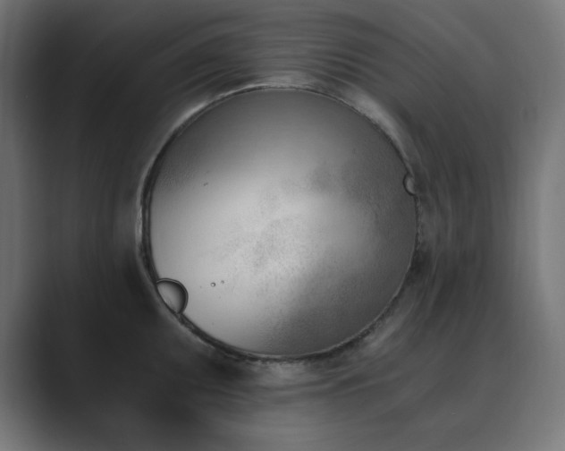 X0000089851095200706281247