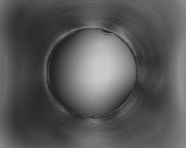 X0000089851096200706281247