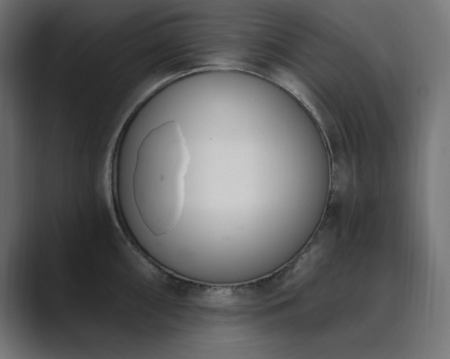 X0000089851098200706281247
