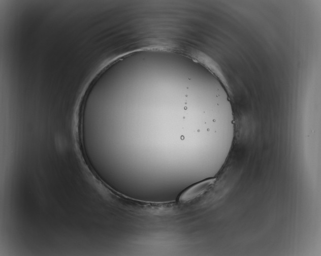 X0000089851099200706281247