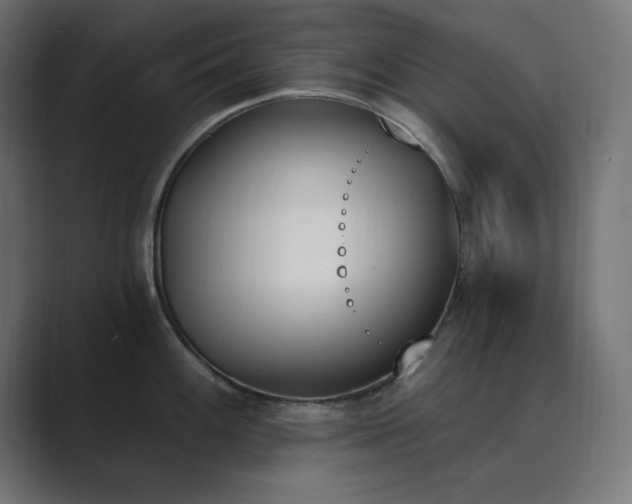 X0000089851100200706281247