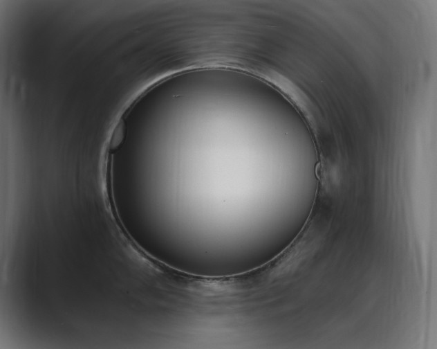 X0000089851102200706281247
