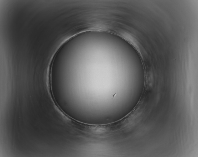 X0000089851103200706281247