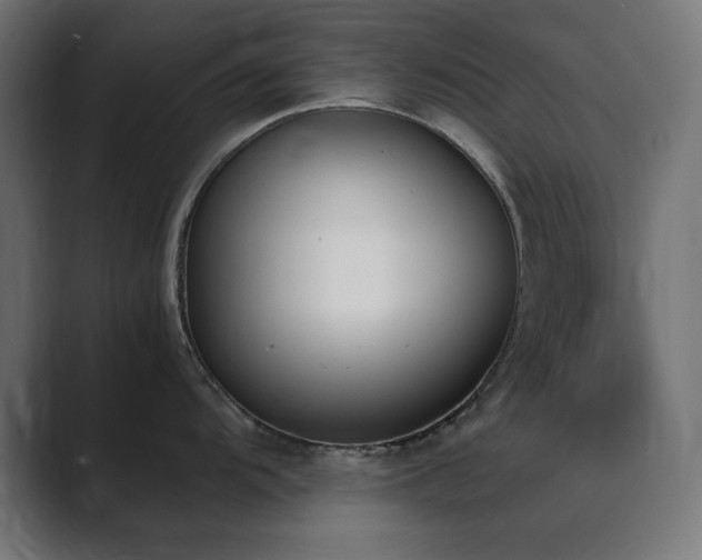 X0000089851104200706281246