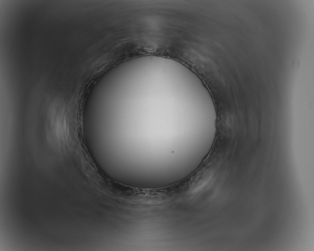 X0000089851105200706281246