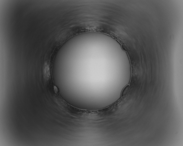 X0000089851106200706281246