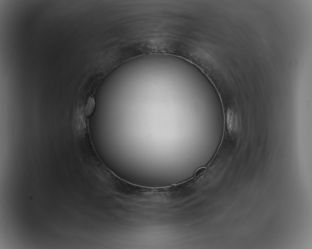 X0000089851107200706281246