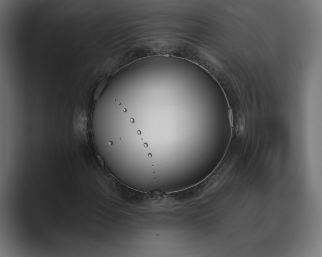 X0000089851108200706281246