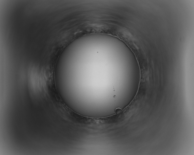X0000089851109200706281246