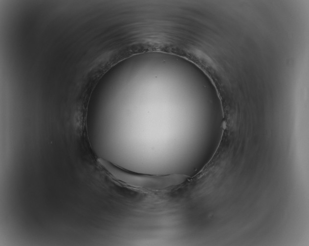 X0000089851110200706281246