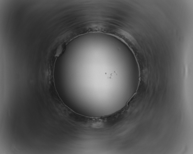 X0000089851111200706281246