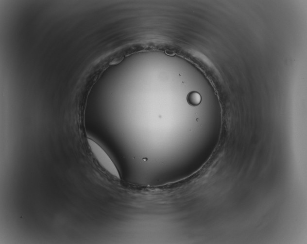 X0000089851112200706281246