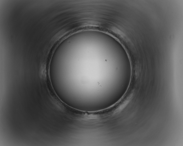 X0000089851113200706281246