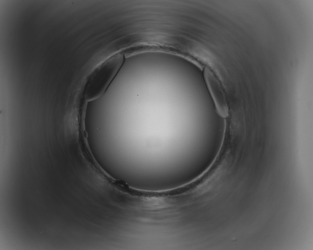 X0000089851114200706281246