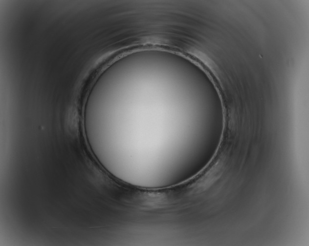 X0000089851115200706281246