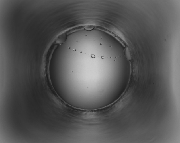 X0000089851116200706281246
