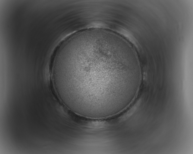 X0000089851117200706281246