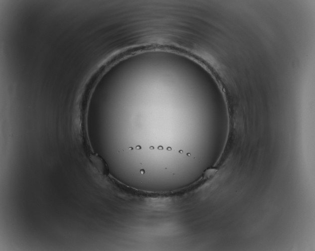 X0000089851118200706281246