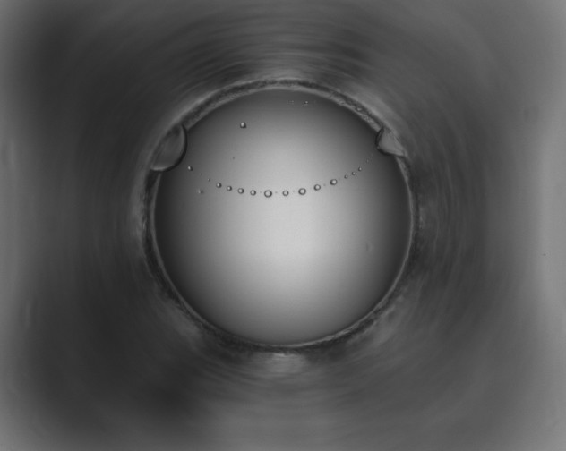 X0000089851119200706281246