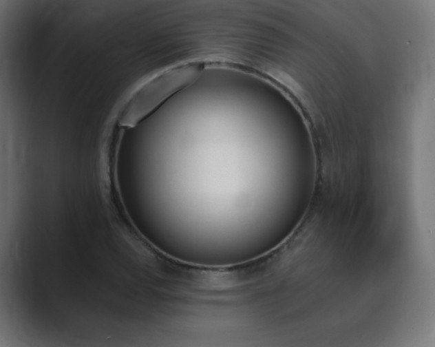 X0000089851120200706281246