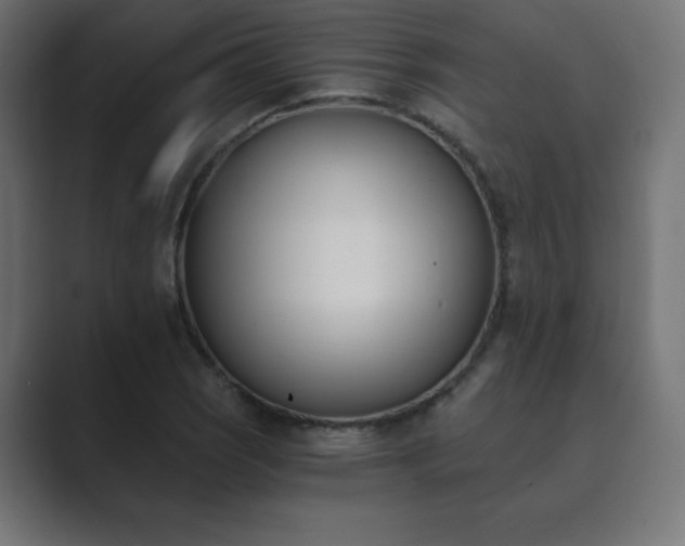 X0000089851121200706281246