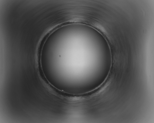 X0000089851122200706281246