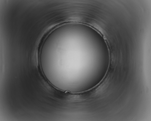 X0000089851123200706281246