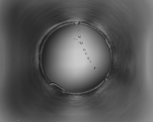 X0000089851124200706281246