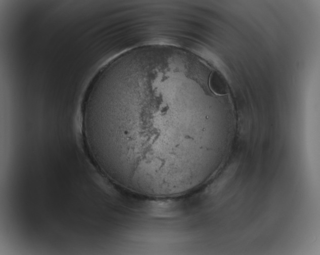 X0000089851125200706281246