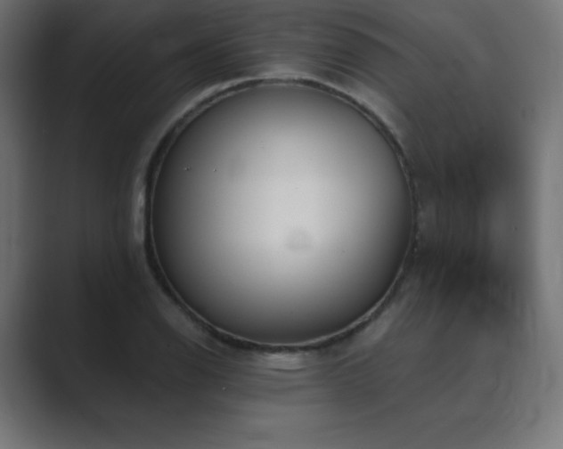 X0000089851126200706281246