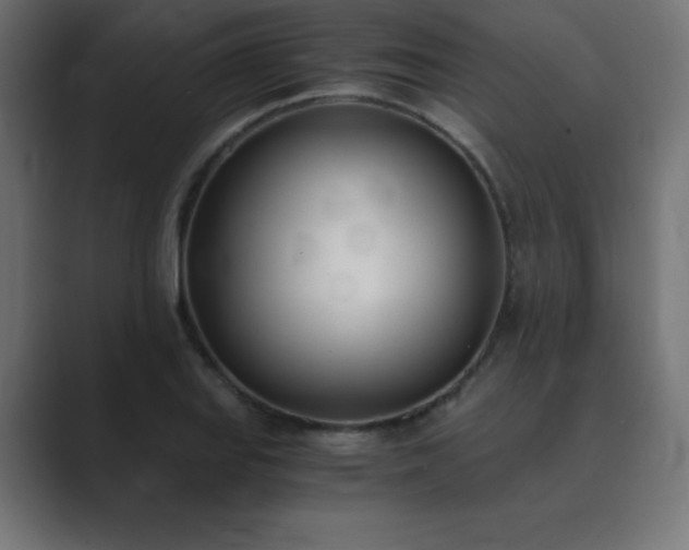 X0000089851127200706281246