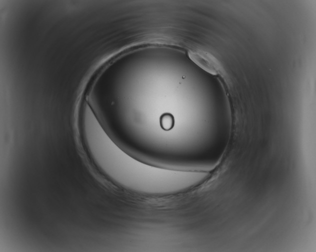 X0000089851128200706281246