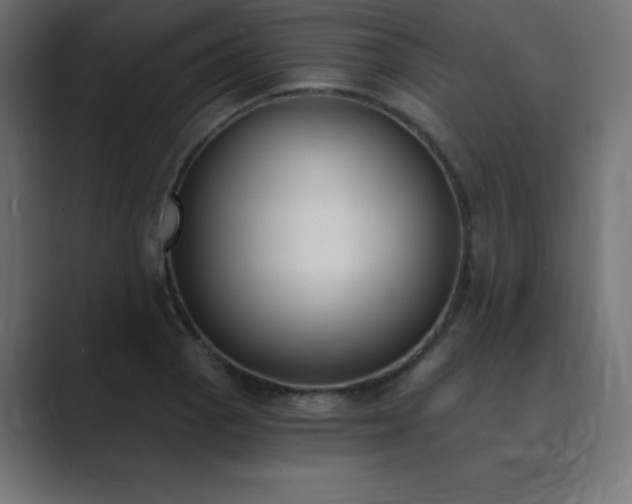 X0000089851129200706281246
