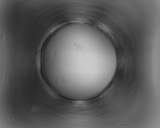 X0000089851130200706281246