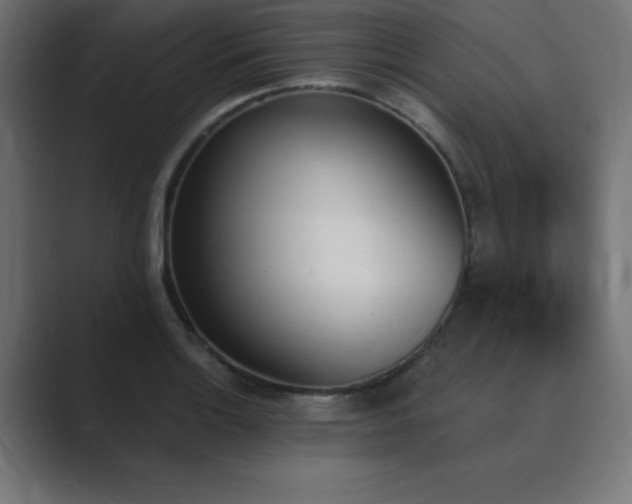 X0000089851132200706281246