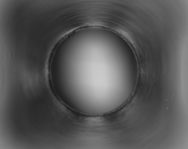 X0000089851133200706281246